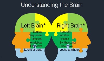 brain 400-235